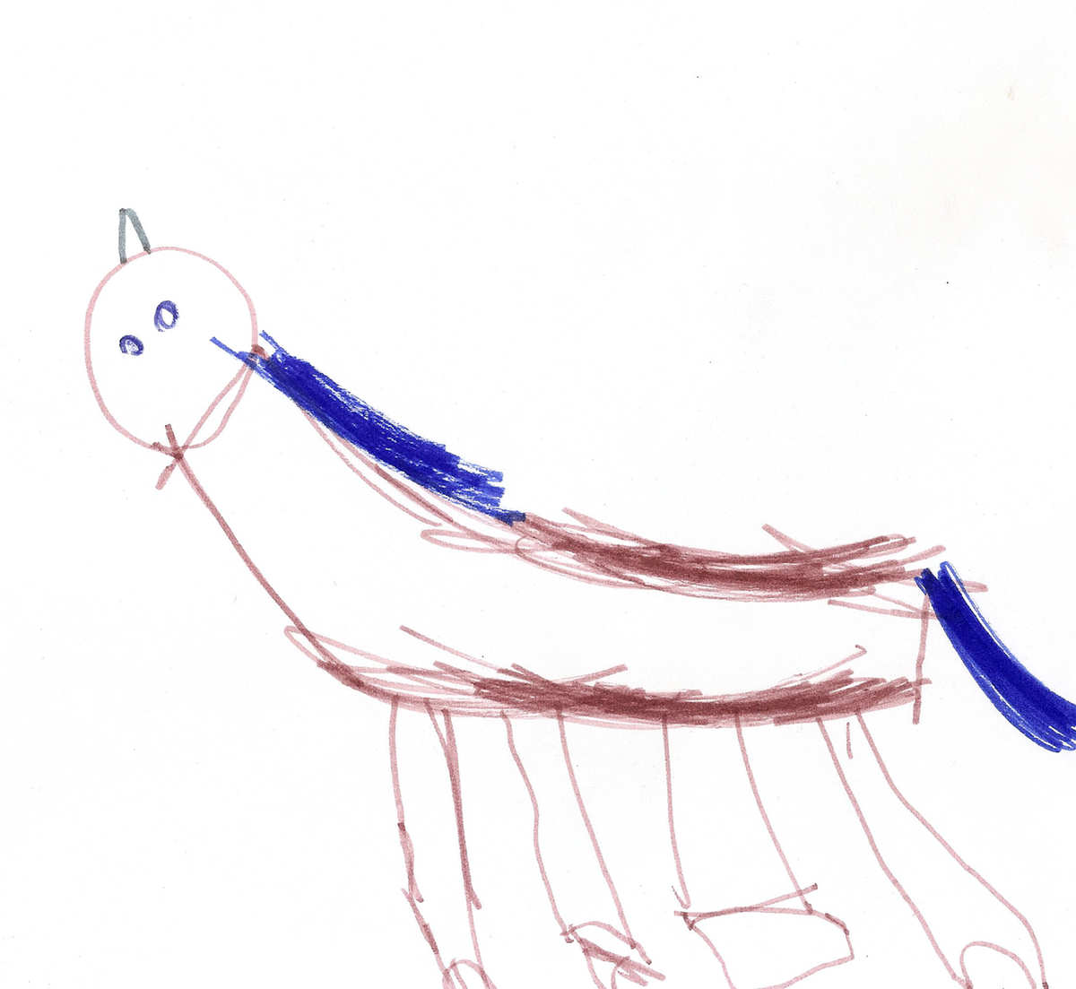 Local Grade Schooler Throws Hat into Horse-Drawing Ring