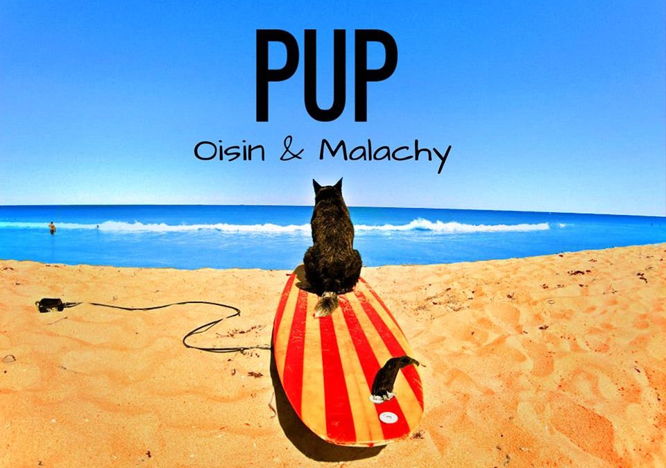 Oisin and Malachy – Pup