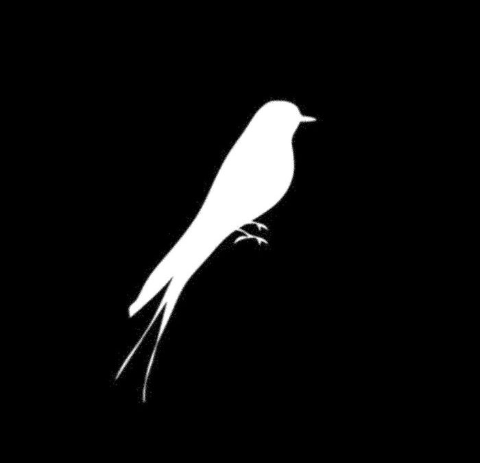 Mockingbirds – Dangerous Woman