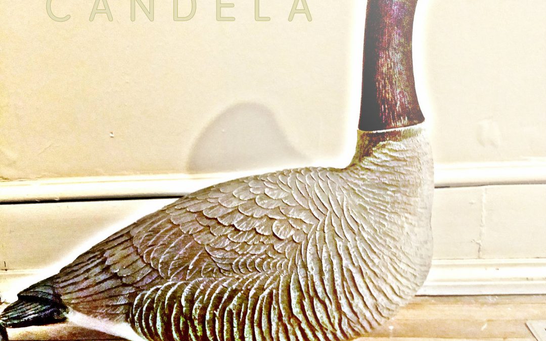 Kelvin Candela – Bird Dirt