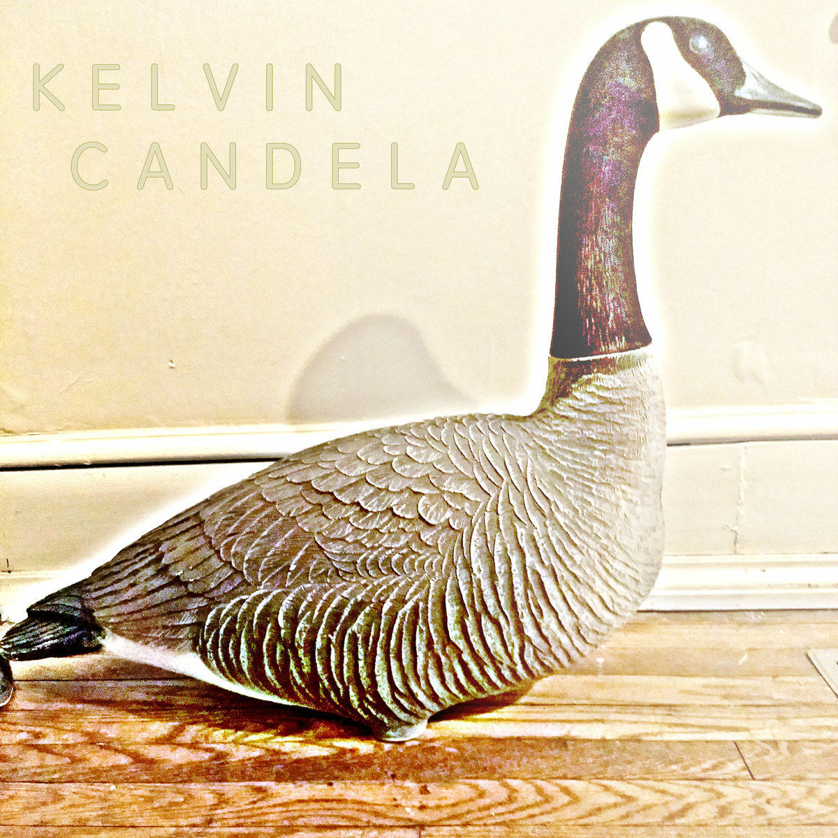 Kelvin Candela – Bird Dirt