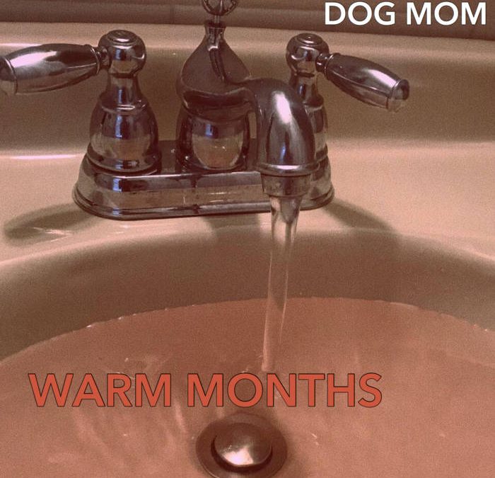 Dog Mom – Warm Months