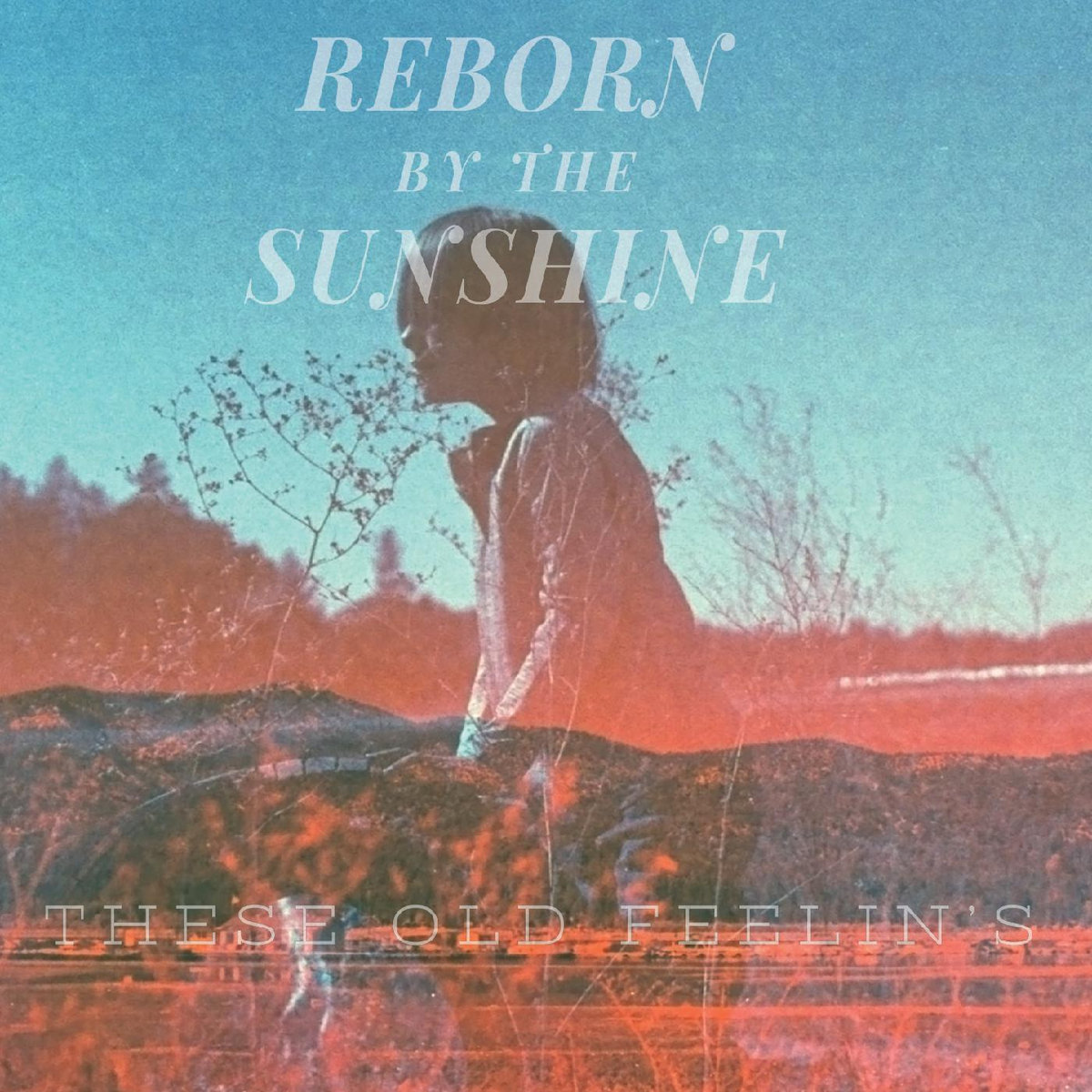 Reborn by the Sunshine – Who I Am