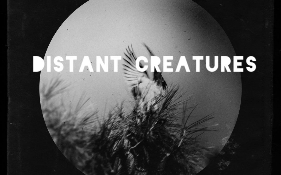 Distant Creatures – Not Even Love