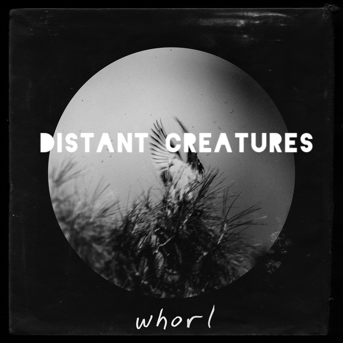 Distant Creatures – Not Even Love