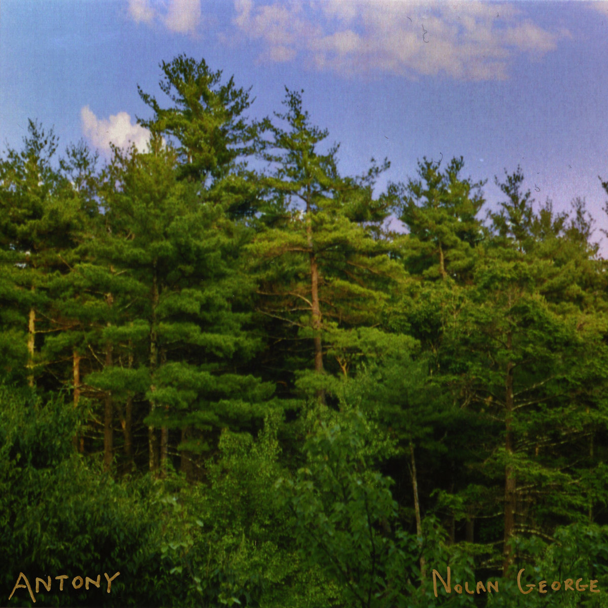 Nolan George – Antony